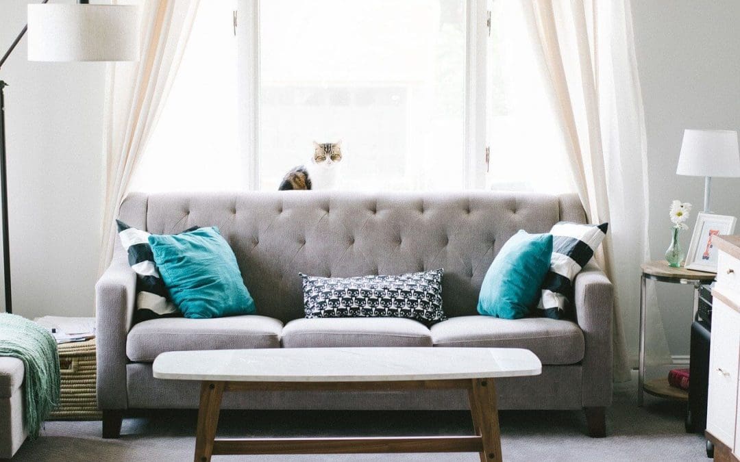 What’s Hiding in Your Home: The Health Hazards Every Homeowner Should Know