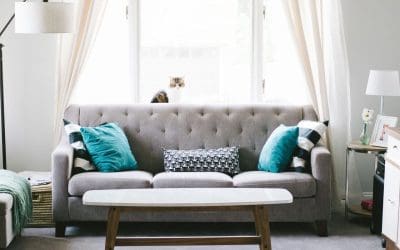 What’s Hiding in Your Home: The Health Hazards Every Homeowner Should Know